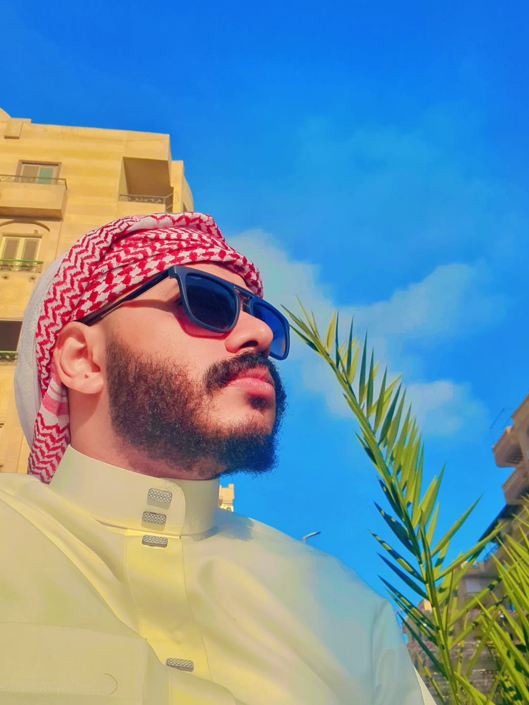 شركة نقل الباشا يقودها الطموح… قصة نجاح “سالم بن علي”